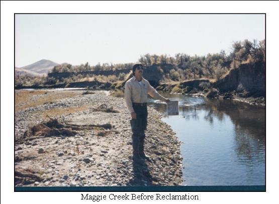 maggie creek before reclamation